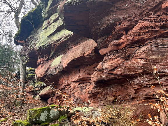 24-02-26 13-32-26 8702